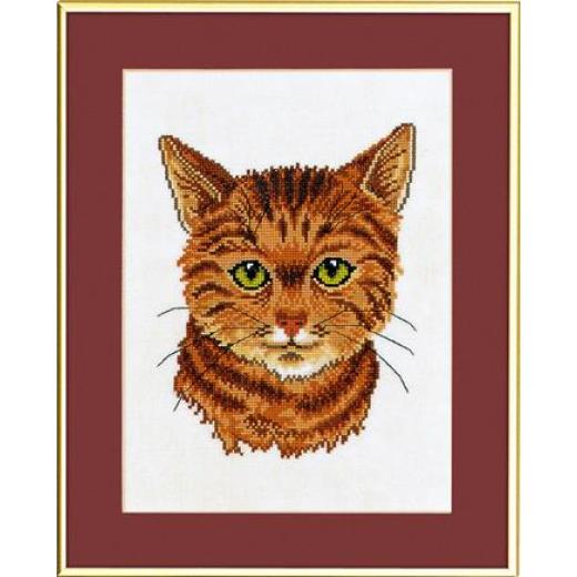 Eva Rosenstand - Rote Katze (Ausverkauf)