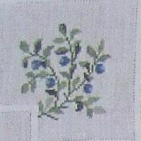 Fremme Stickpackung - Blaubeeren