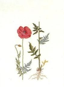 Haandarbejdets Fremme - Mohnblumen