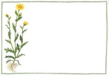 Fremme Stickpackung - Platzset Saatwucherblume