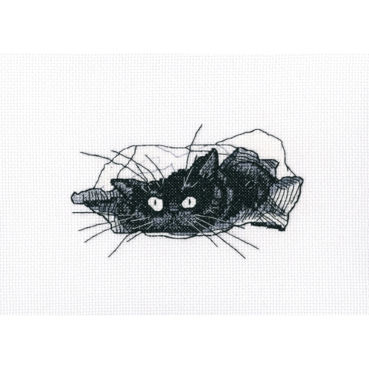 RTO - Among Black Cats