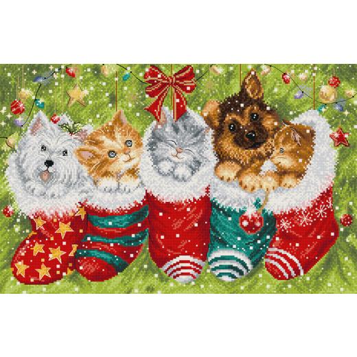 Leti Stitch - Dogs and Cats in Stockings