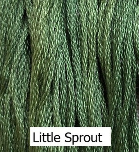 Little Sprout - Classic Colorworks