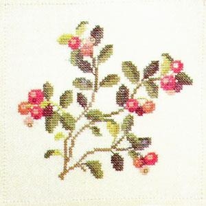 Fremme - Preiselbeeren (Stickpackung)