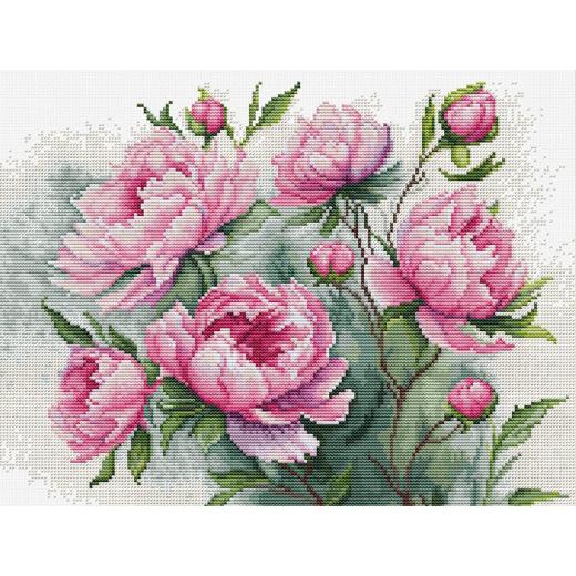Luca-S - The Charm of Peonies (Stickpackung)