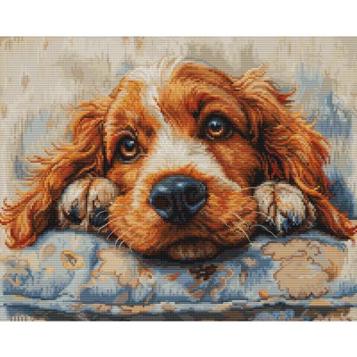 Luca-S Stickpackung - Cocker Spaniel