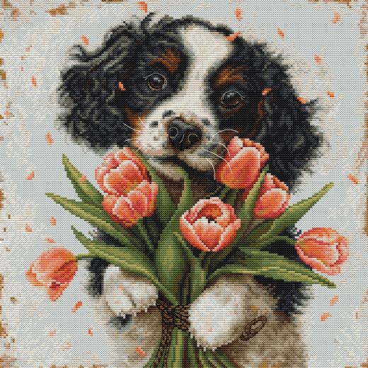 Luca-S - The Cocker Spaniel Puppy (Stickpackung)