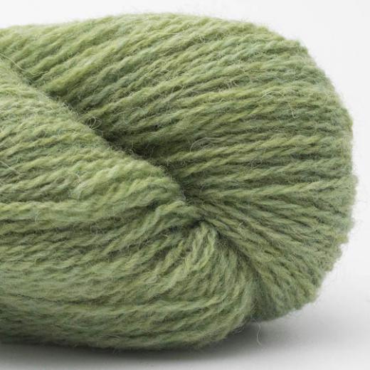 BC Garn Bio Shetland - 11 lindgrün - GOTS
