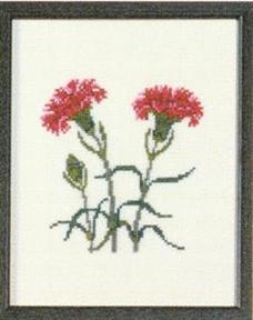 Fremme Stickpackung - Carnation Ohio