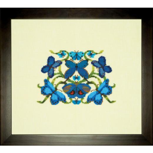 Nora Corbett - Cool Butterfies