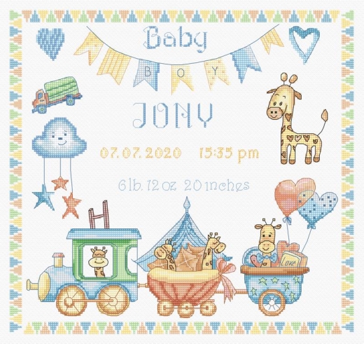 Leti Stitch - Baby Boy Record