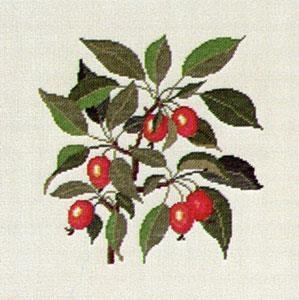 Fremme Stickpackung - Paradiesapfel