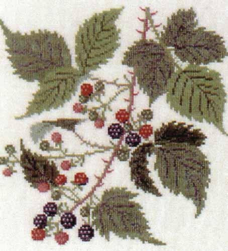 Fremme Stickpackung - Brombeeren