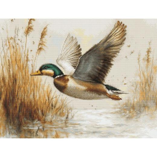 Luca-S - Golden Flight (Petit Point)
