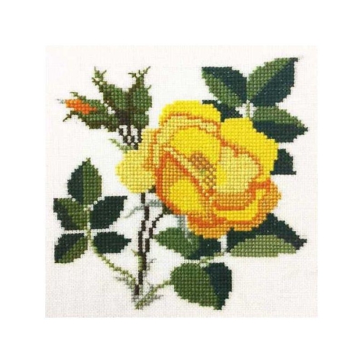 Fremme Stickpackung - Rosen Amber Queen