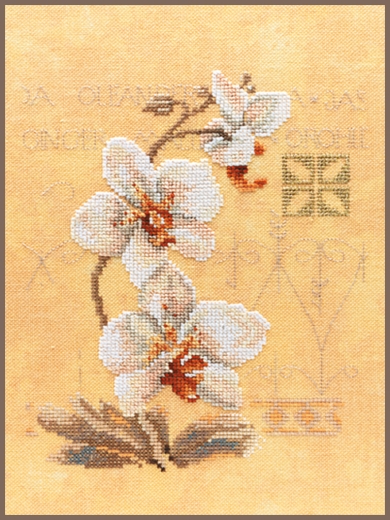Lanarte - Three orchids