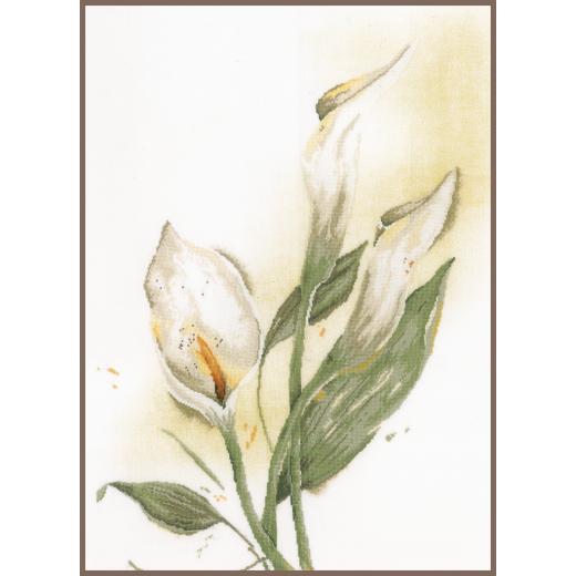 Lanarte - Calla lily flower