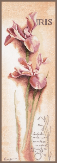 Lanarte - Iris - botanical