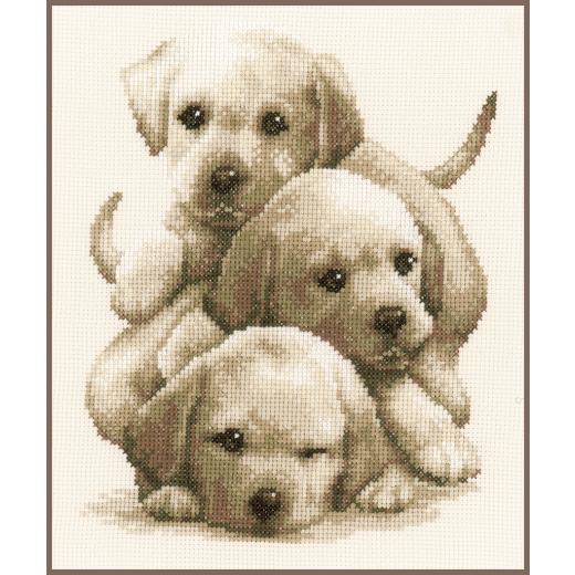 Vervaco Verachtert - Stickbild Labradorwelpen
