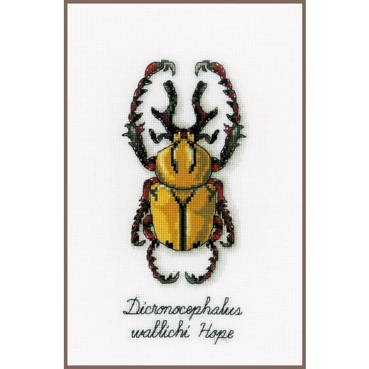 Vervaco Stickpackung - Goldener Käfer