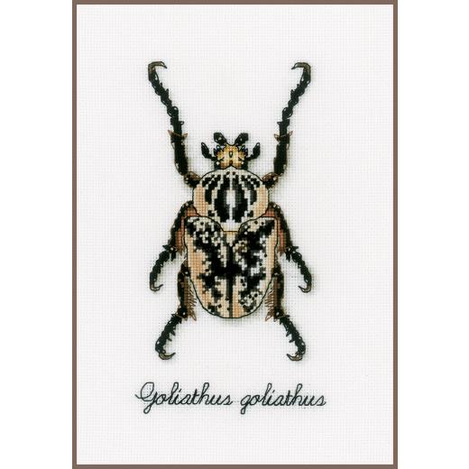 Vervaco Verachtert - Stickbild LVM Beiger Käfer
