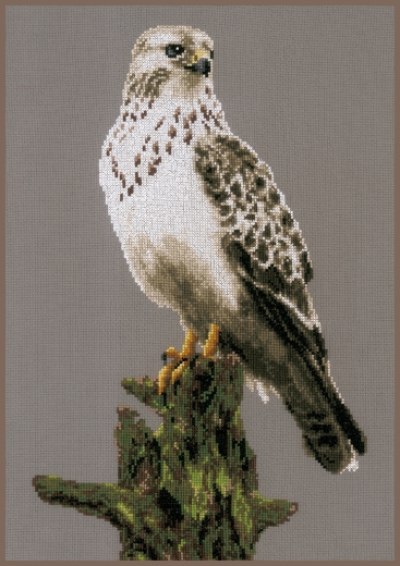 Lanarte - Falcon