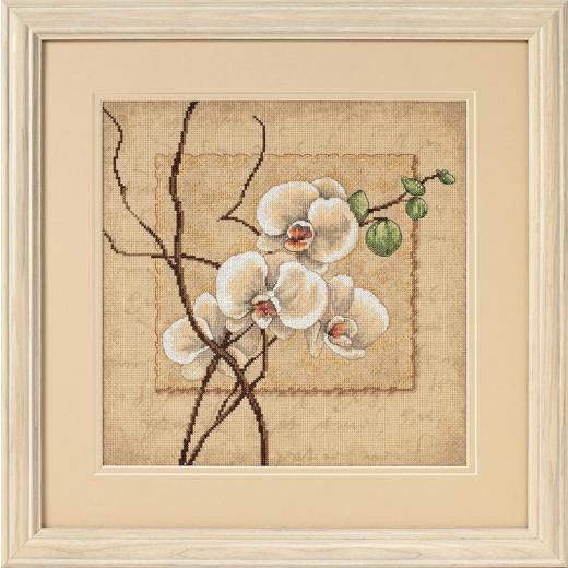 Stickpackung Dimensions - Oriental Orchids