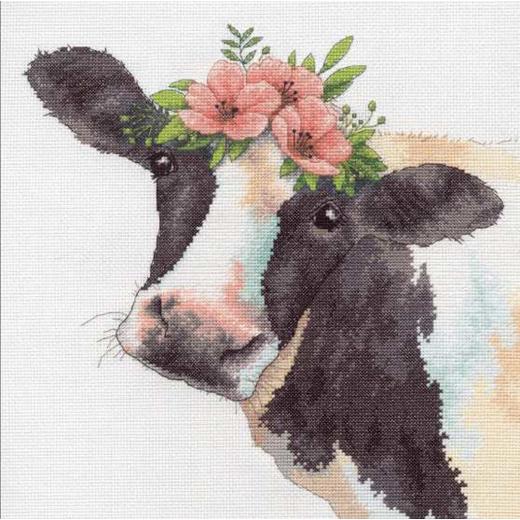 Stickpackung Dimensions - Sweet Cow