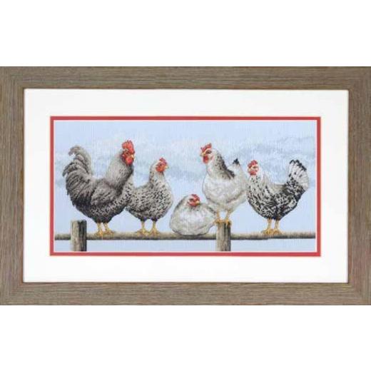 Stickpackung Dimensions - Black & White Hens