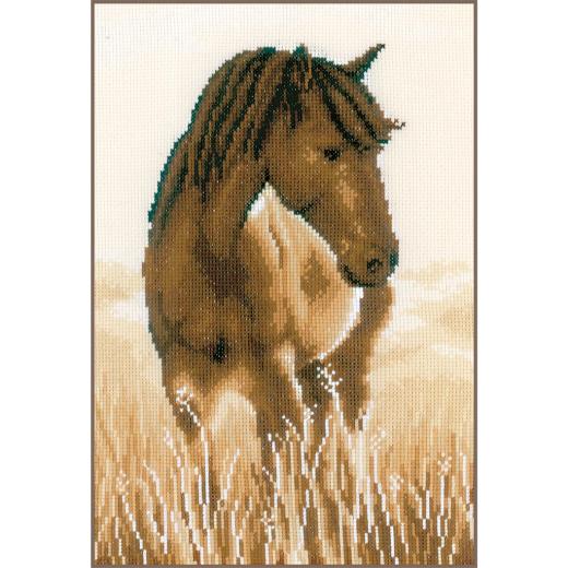 Pferd - Vervaco Verachtert (Stickpackung)