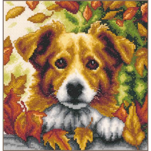 Hund im Herbst - Vervaco Verachtert (Stickpackung)