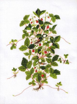 Haandarbejdets Fremme - Walderdbeeren