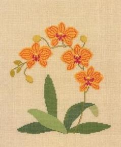 Fremme Stickpackung - Orchidee