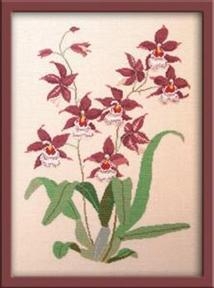 Fremme Stickpackung - Orchideen 40x50 cm