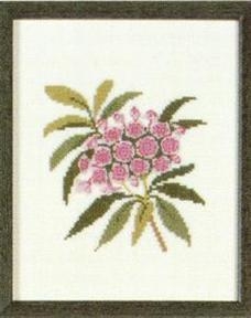 Fremme Stickpackung - Mountain Laurel Pennsylvania