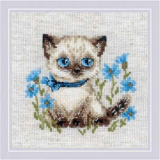 Riolis - Stickbild Siamese Kitten