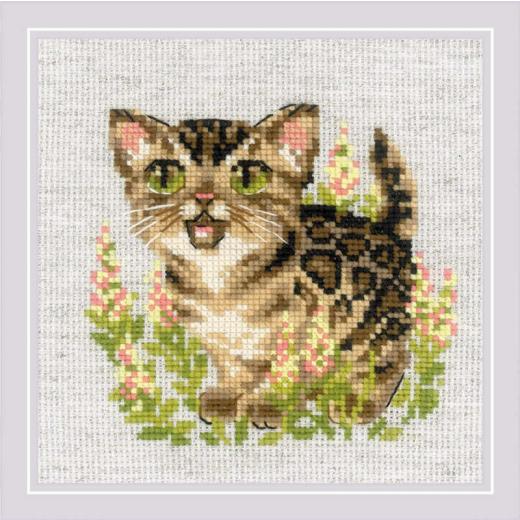 Riolis - Stickbild Bengal Kitten
