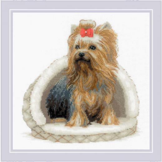Riolis - Stickbild Yorkshire Terrier