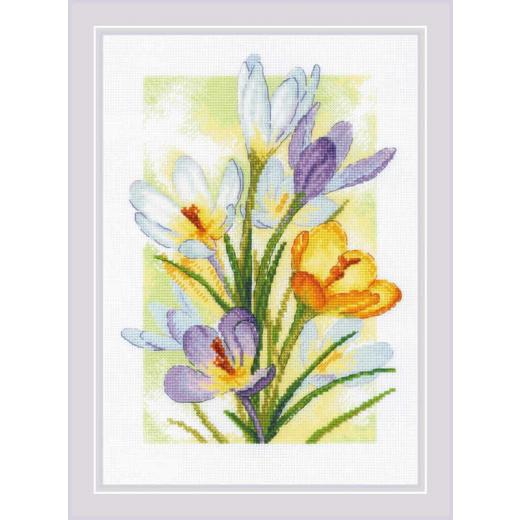 Riolis - Stickbild Spring Glow - Crocuses