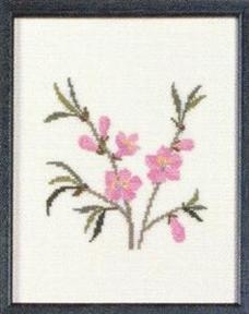 Fremme Stickpackung - Peach Blossom Delaware