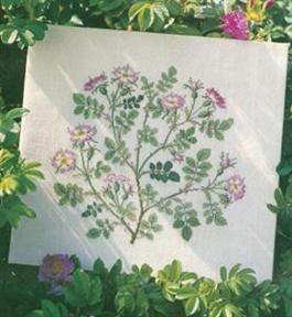 Haandarbejdets Fremme - Wilde Rosen