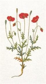 Haandarbejdets Fremme - Mohnblumen