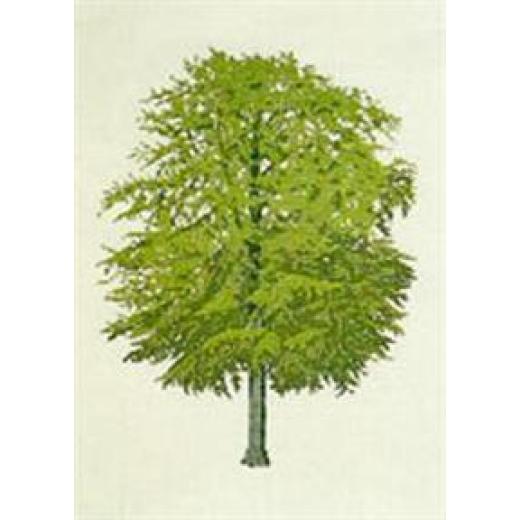 Birke - Haandarbejdets Fremme Stickpackung