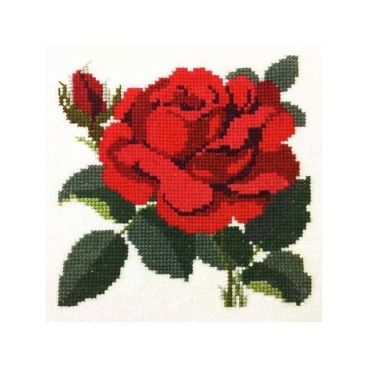 Fremme Stickpackung - Rosen Santana