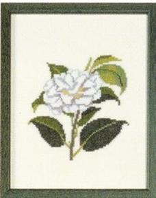 Fremme Stickpackung - Camelia Alabama
