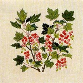 Fremme Stickpackung - Rote Johannisbeeren