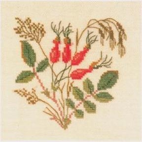 Fremme - Rosa Davidii (Stickpackung)