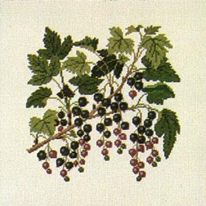 Fremme Stickpackung - Schwarze Johannisbeeren