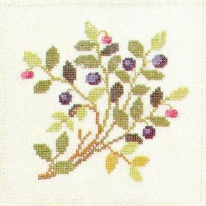 Fremme Stickpackung - Blaubeeren 16x16 cm