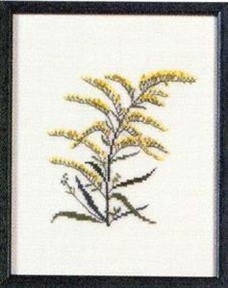 Fremme Stickpackung - Goldenrod Nebraska 17x21 cm